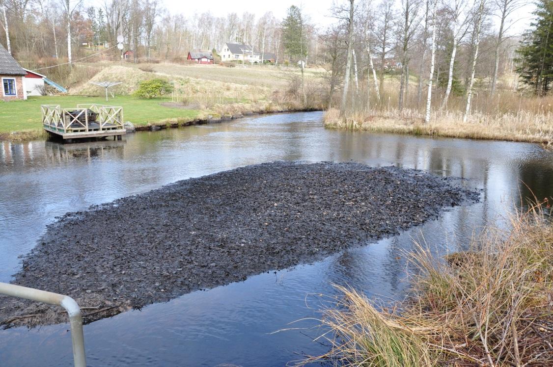 till exempel ytterkurvor. Förflyttning av meanderslingor nedströms är till exempel en naturlig process även i ett stabilt vattendrag.