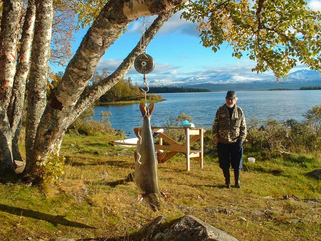Figur 49. Introducerad kanadaröding fångad i Ånnsjön. Arten hämtades till Sverige från Nordamerika för att sättas ut i reglerade vatten.