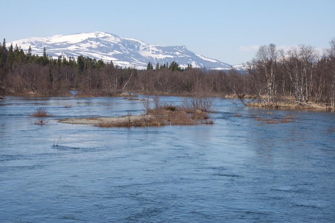 Interaktion med landmiljöer Ett naturligt vattendrag avgränsas inte enbart till den fåra där vattnet rinner fram.