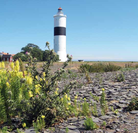 Ottenby naturreservat GPS-koordinater: X 5623261, Y 1641786 Geologi är nog inte det första man tänker på när man hör namnet Ottenby, men den som strövar i detta 995 ha stora område (kanske för att