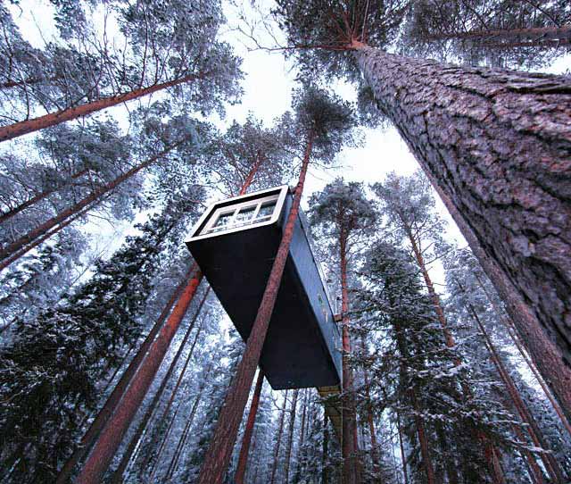 Treehotel erbjuder en unik boendeupplevelse med modernt designade trädrum mitt i en orörd natur.