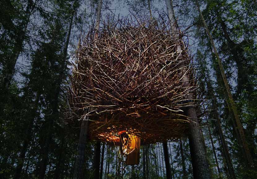 THE BIRD S NEST Av Inredningsgruppen/ Bertil Harström Rum: Fyra bäddar (en dubbelsäng och två enkelsängar) Konceptet bygger på kontrasterna mellan ute och inne.