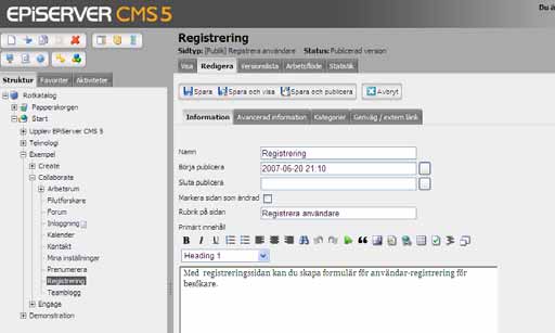 8 Arbeta med mallar i EPiServer CMS 5 R2 - Rev A 3. Skriv ett namn på sidan och fyll i lämplig information som talar om vad sidan innehåller.