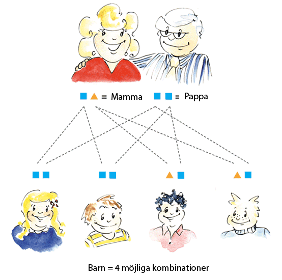 Den specifika enzymdefekt, som varje typ av porfyri beror på, är det slutliga resultatet av en förändring i arvsanlagen (generna). I varje typ av porfyri är ett speciellt arvsanlag ändrat.