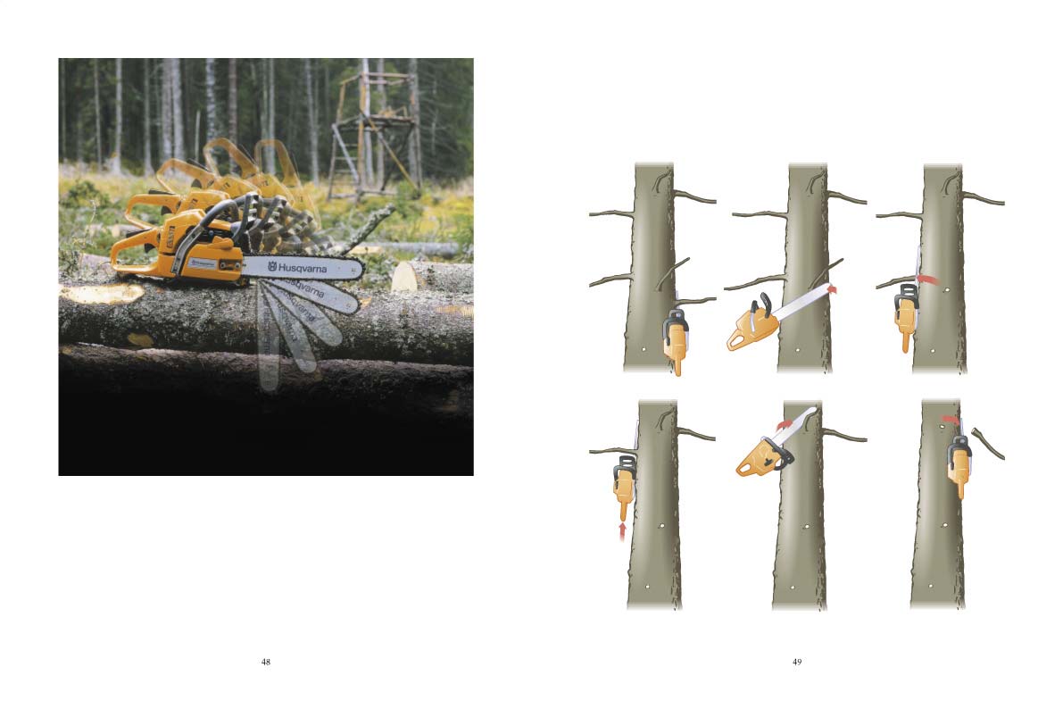 Kvistningsschema moment 1 6 Hävarmsmetoden beskrivs moment för moment på följande sidor. Nedan följer ett schema som beskriver hävarmsmetoden i kortform.