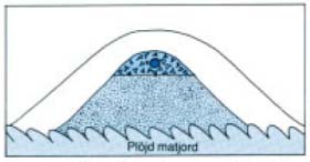Figur 6. Upphöjd infiltration (s.k. mound) Figur 7. Principutformning av markbädd. Dimensionerande infiltrationsyta är sandens överyta.