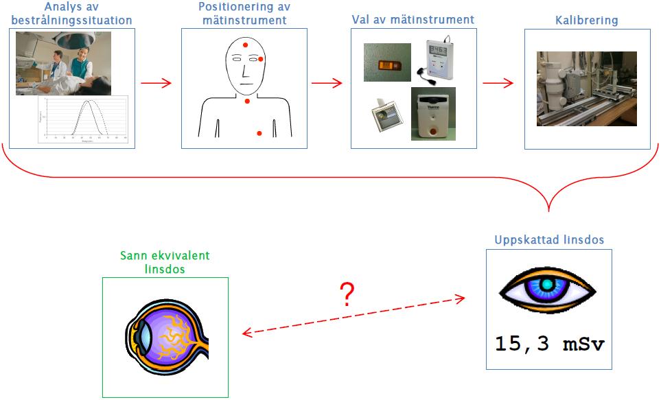 Analys av bestrålningssituation Positionering av mätinstrument Val av mätinstrument Kalibrering Ekvivalent dos till ögats lins Uppmätt persondosekvivalent Figur 10: Överblick av de steg som leder