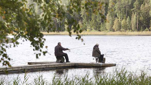 Havsöringen påträffas fortfarande på flera platser i skärgården, bl a runt Gålö och Sandemar.