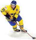 m.) Förebilder (spelare, lag) Hockeyn viktigt fokuserad och mediaexponerad Målmedvetna tränare/föreningar Utrymme för mycket tränande/matchande Tillåtelse att utföra flera sporter Stöd och förståelse