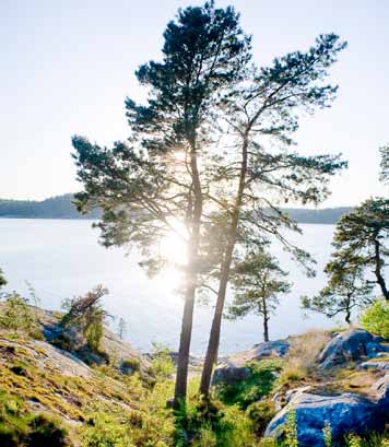 Föreningar och organisationer Att säga upp medlemskapet är inte enda skälet att ta kontakt med föreningar och organisationer.