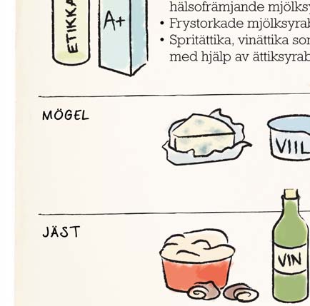 sikt an