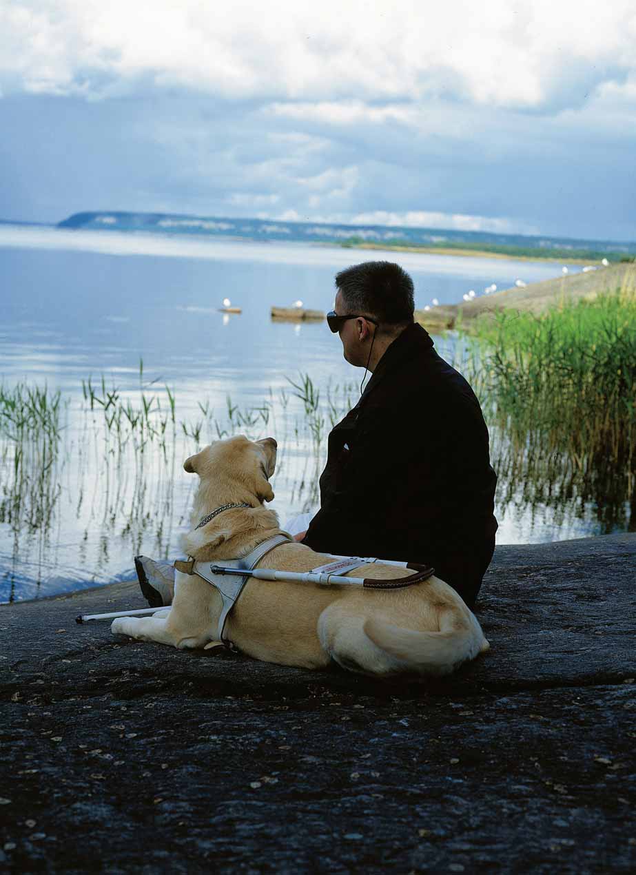 BESÖKARE SOM HAR SVÅRT ATT SE Det kan vara besökare som har olika former av synnedsättningar eller är blinda.