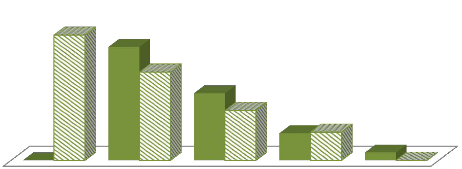 88% 80% Före Efter 62% 0% 47% 35% 19% 20% 6% 0% Figur 11. Vem har patienten fått information av, före och efter införandet av äldre vägledare (källa Nacka kommuns enkät).