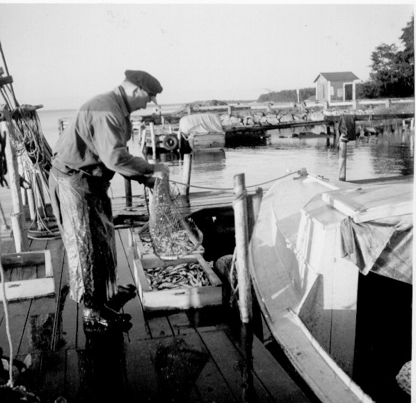 Viktor Rosen med sina strömmingsnät i Östersjö sommaren 1958. böcker, räkningsblock och en årsbok 1951 för Stockholms läns Fiskeförsäljningsförening u.p.a. bevarade.