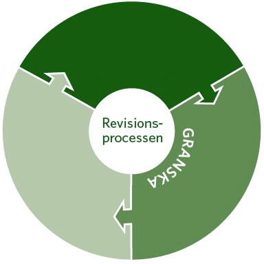 Revisionsprocessen - granska Planera granskningen