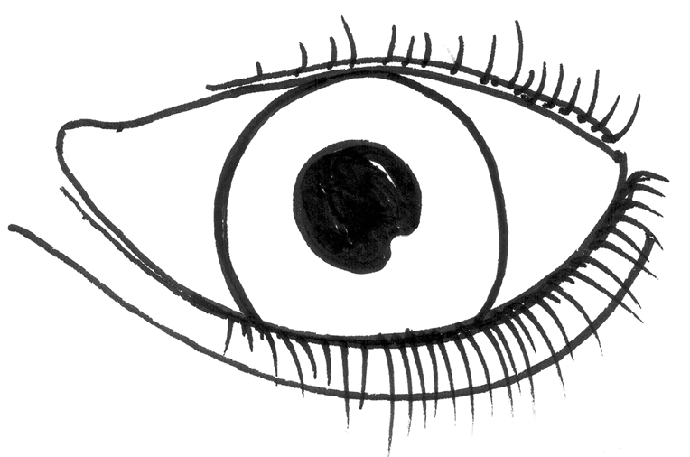 pupill 2. iris 3.