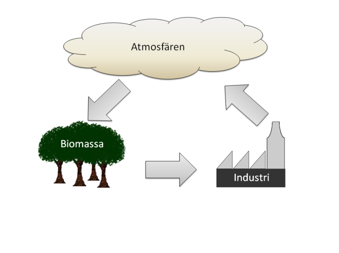 2 Vetenskaplig bakgrund 2.1 Vad är BECCS? BECCS (Bio-Energy with Carbon Capture and Storage) är en kombination av biomassasystem och geologisk koldioxidlagring.