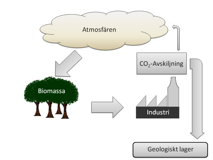 Processerna återfinns bland annat i biomasseeldade kraftverk och kraftvärmeverk, pappersmassabruk, etanolfabriker och biogasanläggningar.