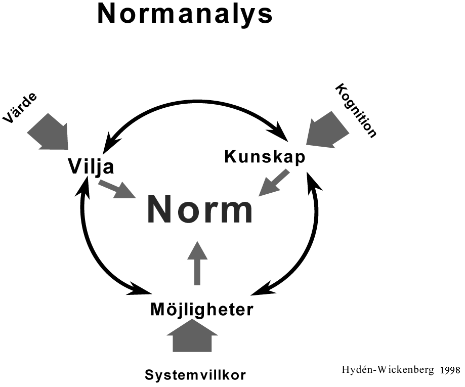 Figur 1 Normmodellen Modellen kan användas som sökverktyg för att förstå handling. Vilja och motiv är centrala drivkrafter för att försöka uppnå ett önskat tillstånd eller värde.