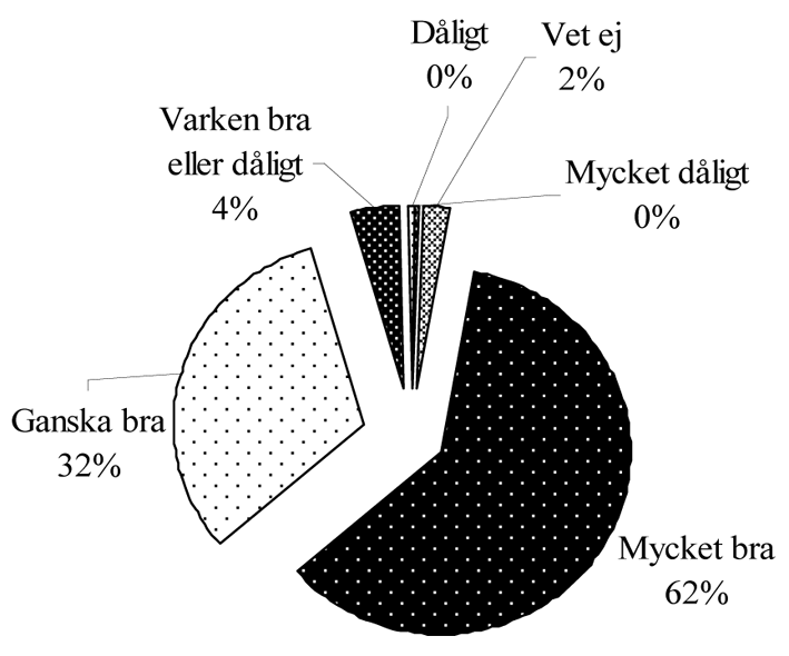 8. Elevernas synpunkter och erfarenheter 8.1 Inställning Av enkätsvaren framgår att den allmänna inställningen till projektet bland elever vid undersökningstillfället var påfallande positiv.