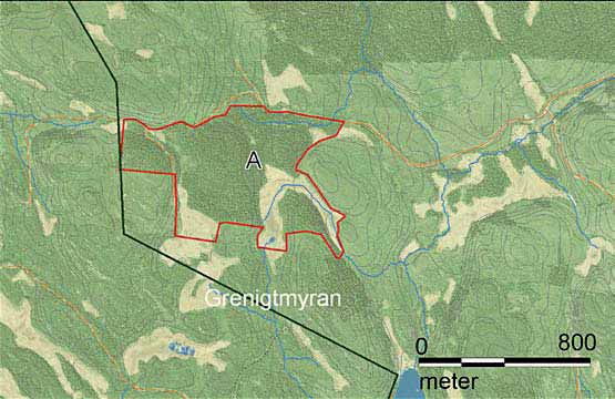 88 A Grenigtmyrans naturreservat Naturreservatet består av äldre granskog och små områden av myrmark. I skogen växer den rödlistade laven långskägg (Usnea longissima).