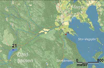 Högsjö Fiskevårdsområde Högsjö sportfiskeförening www.hogsjosff.