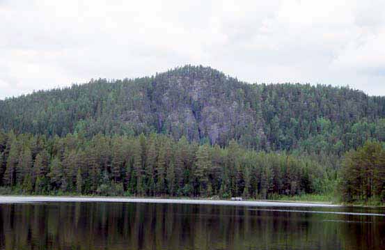 Bastusjöklippen 132 Sydväxtberg Termen sydväxtberg beskriver både en bergssida som är vänd mot söder samt den speciella växtlighet som finns där.