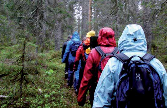 Vandring genom skogen. Foto Härnösands kommun Vandringsled Vårdkasen Smitingen Mellan Vårdkasen (s. 27) och Smitingen (s. 22) har kommunen ordnat en vandringsled.