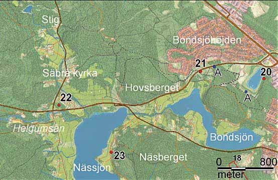 20 Godstjärn Här häckar och rastar stora mängder fåglar varje år, du kan se rörhöna (Gallinula chloropus), skrattmås (Larus ridibundus), vigg (Aythya fuligula), svarthakedopping (Podiceps auritus)