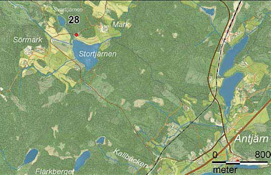 28 Tallen i Sörmark Denna grova tall (Pinus sylvestris) är väl värt ett besök, du kommer att bli imponerad över dess gigantiska krona.