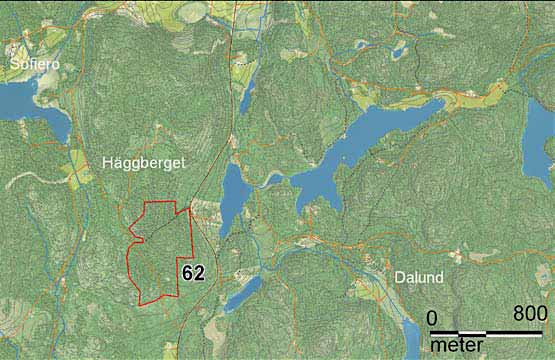 62 Häggbergets naturreservat Häggbergets naturreservat ligger nära vägen som går söderut mot Barsviken.