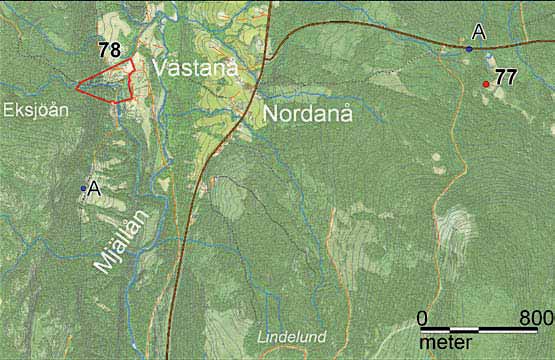77 Flarkmyran På denna intressanta myr kan du hitta flera växter som är typiska för våtmarker, som myggblomster (Hammarbya paludosa), bredbladig ängsull (Eriophorum latifolium), ängsnycklar