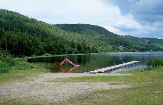 Badplatsen i Viksjö 81 Viksjöbadet Mellan bergen Hippaberget och Billberget ligger sjön Viksjön, i dess södra ände finns ett familjevänligt bad som kommunen sköter, med rutschkana, brygga och