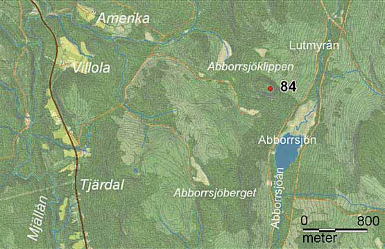 84 Abborrsjöklippen Skogen som växer här är en grannaturskog med inslag av lövträd och tallar. Det finns mycket död ved, vilket är positivt för en skogs artrikedom.
