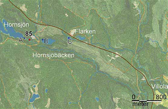 85 Hornsjökojan och Hornsjömoarna 100 Vid Hornsjön fanns förut en damm, och dammen sköttes av en dammvakt.
