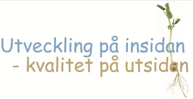 Arbetet beskrivet i handboken genomfördes i Ulricehamns kommun inom ramen för projektet Utveckling på insidan kvalitet på utsidan, 2011-03-01-2013-04-30.