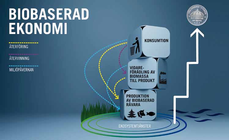 Figur 1. Förädlingssteg med forsknings-, utvecklings- och innovationsfrämjande insatser. Förädlingstrappan visar den ekonomiska värdeökningen av råvarorna fram till konsumtion.