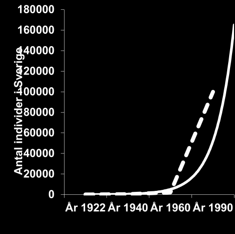 Efter vissa efterforskningar och försök till uppskattningar av hur många djur man tror att det en gång kan ha funnits har man kommit fram till att någonstans mellan 60 400 miljoner individer fanns på