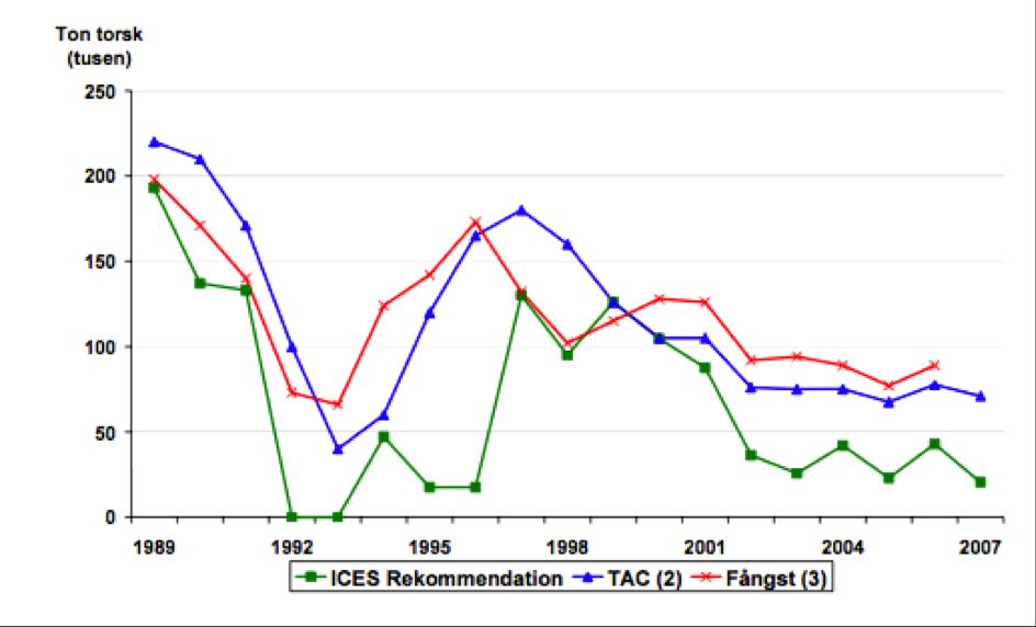 den maximala fångstmängder (TAC) för 2009 till 34 590 ton, varav 28 798 ton i Nordsjön och 4114 ton i Skagerrak. Sverige har under 2000-talet motsatt sig uttagskvoter som överstiger ICES råd.