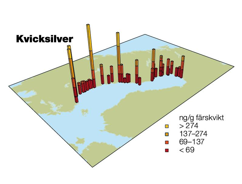 Figur 4. Kvicksilverkoncentration i abborre, år 2009. 277 Utöver det nationella programmet som ska visa den genomsnittliga påverkan kan enskilda studier mäta lokal påverkan.