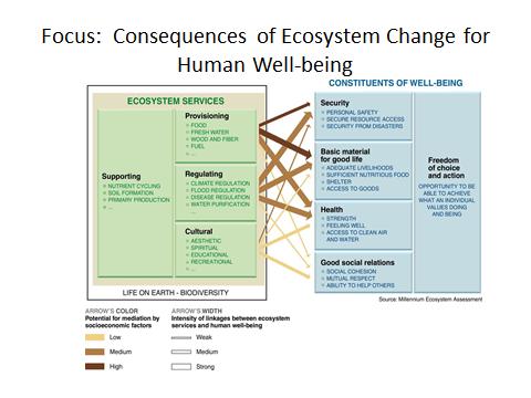 (MEA): Ecosystem service,