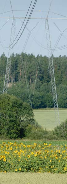 4 INLÖSNINGSFÖRRÄTTNING Förrättningen förutsätter inlösningstillstånd Inledandet av en inlösningsförrättning kräver ett inlösningstillstånd.