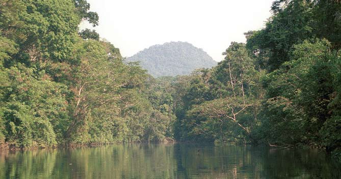 De tropiska skogarna minskar varje år med en yta som motsvarar nära 30 procent av Sveriges yta. Uru-eru-wau-wau-folkets reservat i delstaten Rondônia, Brasilien.