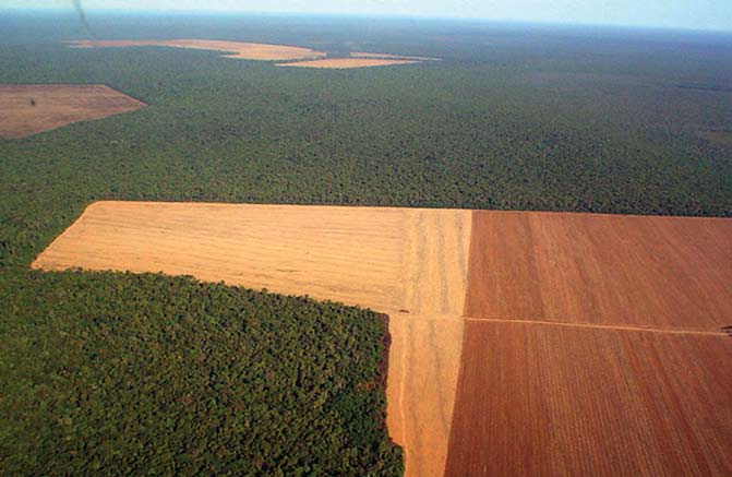 Sojafält och regnskog sett från ovan. Delstaten Mato Grosso, Brasilien.