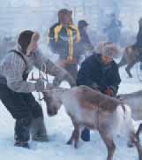 75 års ålder är aktiv som guide i turistföretaget.