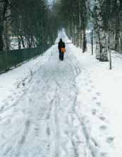 Snön åldras och förändras under vinterns lopp vilket påverkar konsistens, bärighet, glid och skidföre, skriver Yngve Ryd. Snön kan också användas på olika sätt och orden skiljer sig därefter.