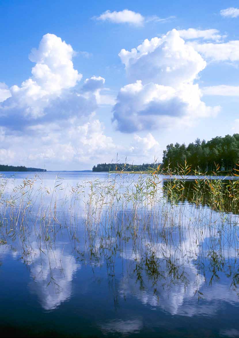 Bolmen en tidig sommarmorgon i juli 2006.