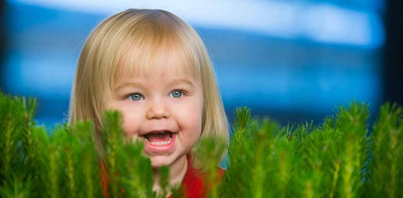 Beställ plantor i god tid Funderar du på att beställa plantor till din kommande plantering? Tänk då på att vara ute i god tid!