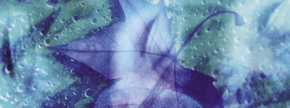 Svenska Psykiatriska Föreningen www.svenskpsykiatri.se Svenska Psykiatriska Föreningen har sedan 1995 utformat kliniska riktlinjer för en rad psykiatriska områden.