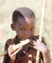 Nästan alla områden i landet är för torra för att det ska finnas regnskog. Men bergsregnskog finns det. Den växer på de höga bergen i Östafrika till exempel Mount Kenya och Kilimanjaro.